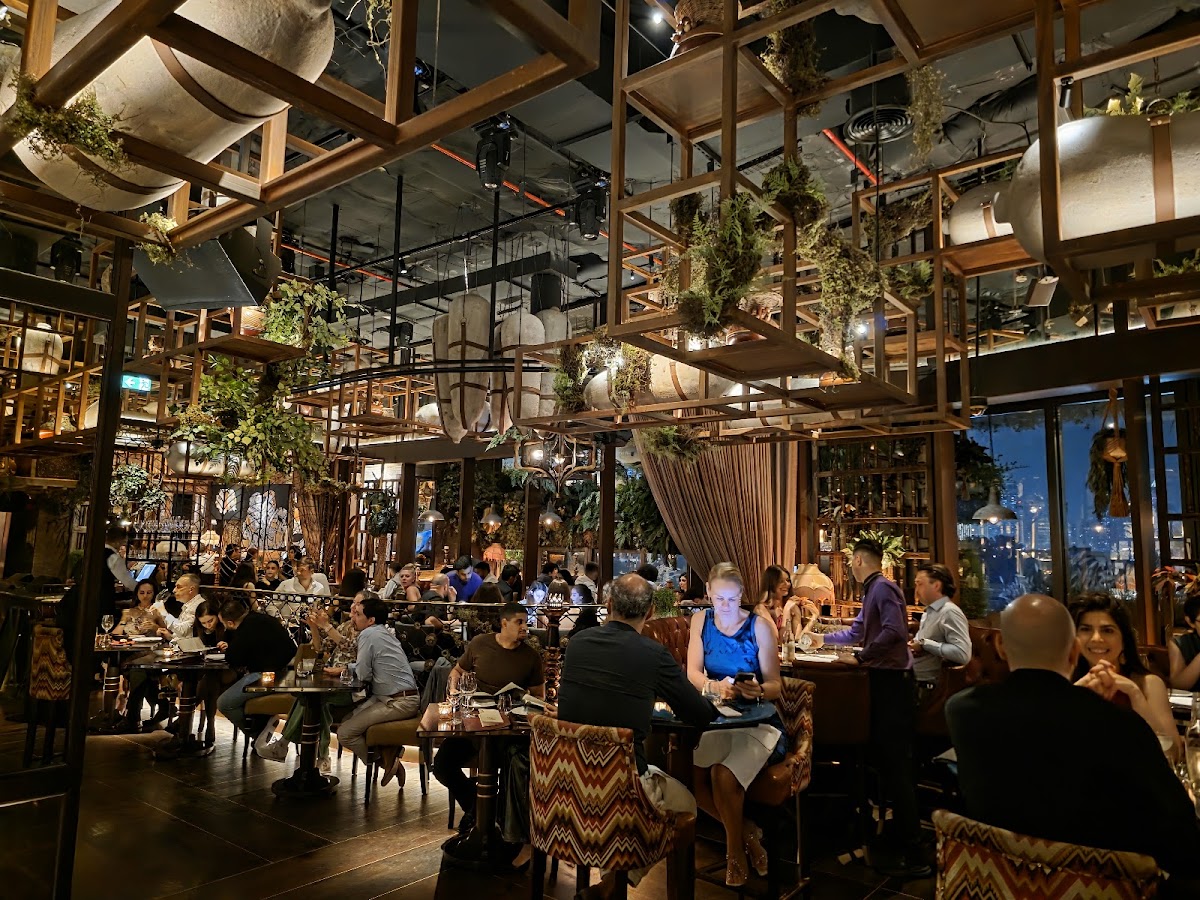 Coya Dubai - Latin Brunch - photo 2