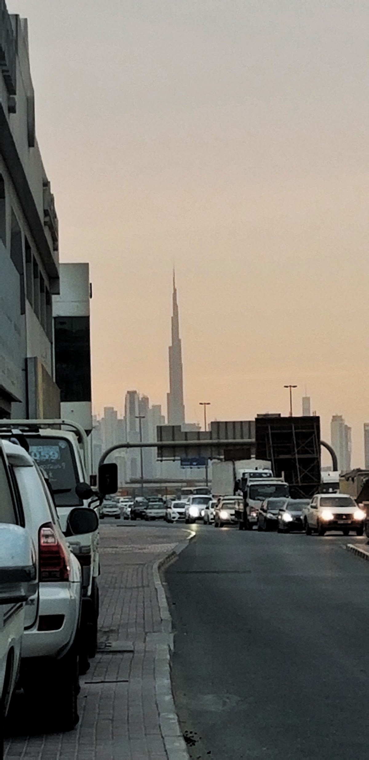 Ras Al Khor Wildlife Sanctuary - photo 3