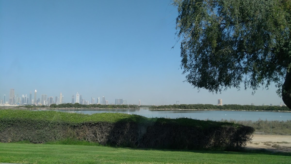Ras Al Khor Wildlife Sanctuary - photo 2