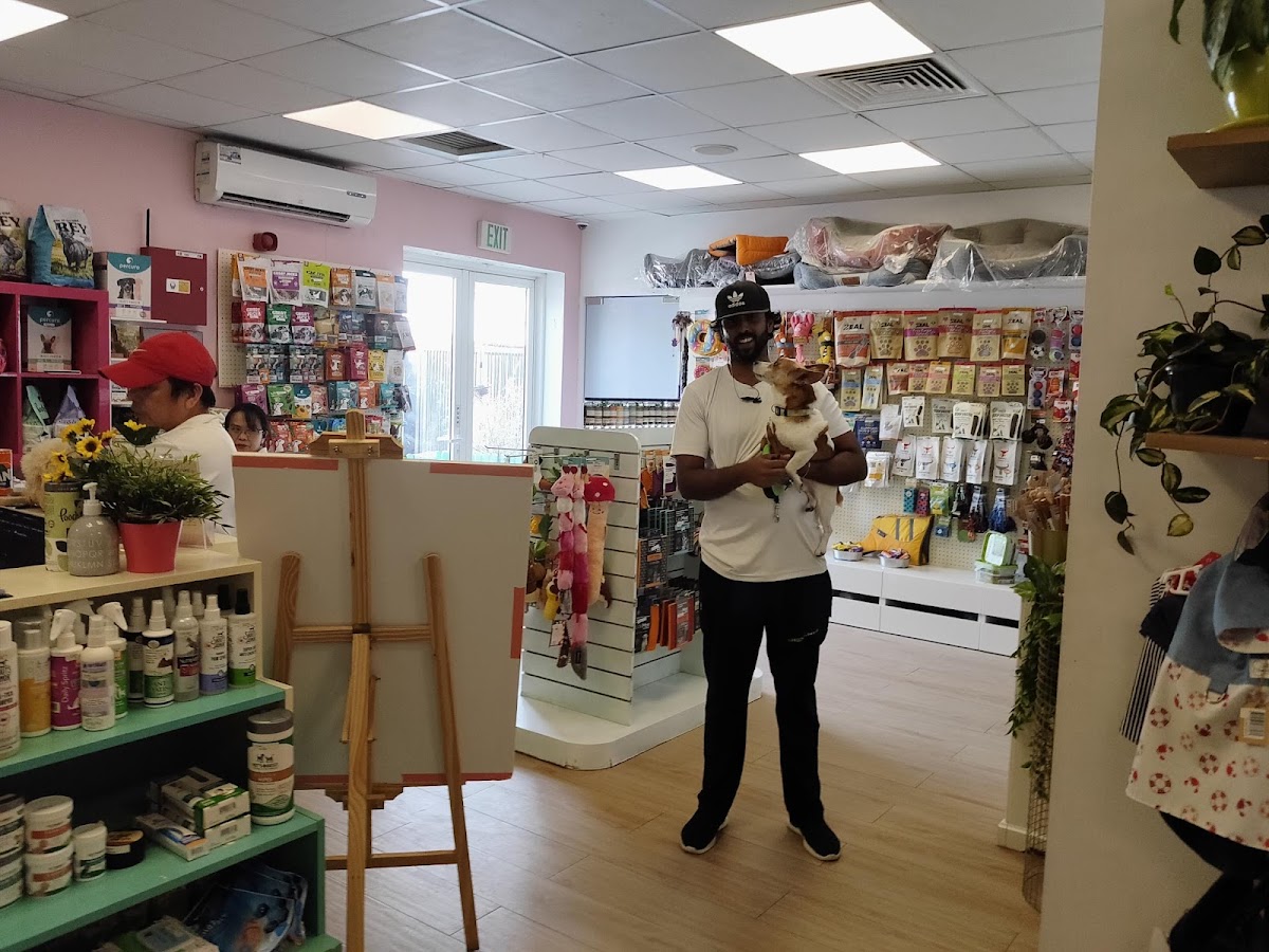 Dogwalk Dubai - photo 3