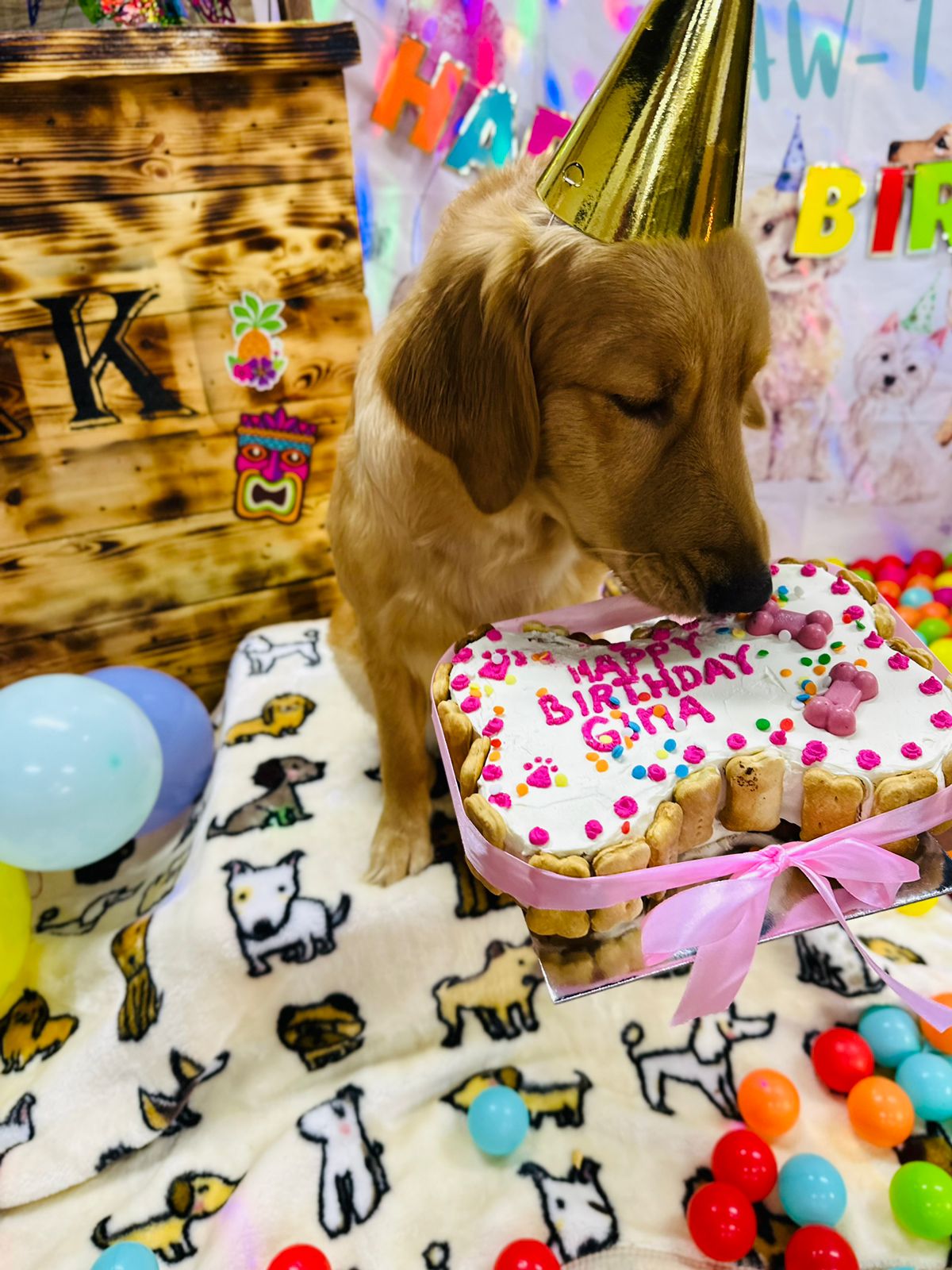 Dogwalk Dubai - photo 4