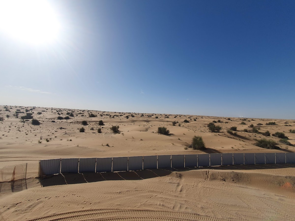 Desert Safari with BBQ Dinner - photo 5