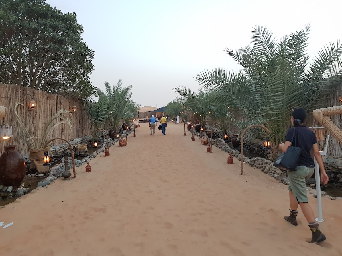 Desert Safari with BBQ Dinner - photo 4