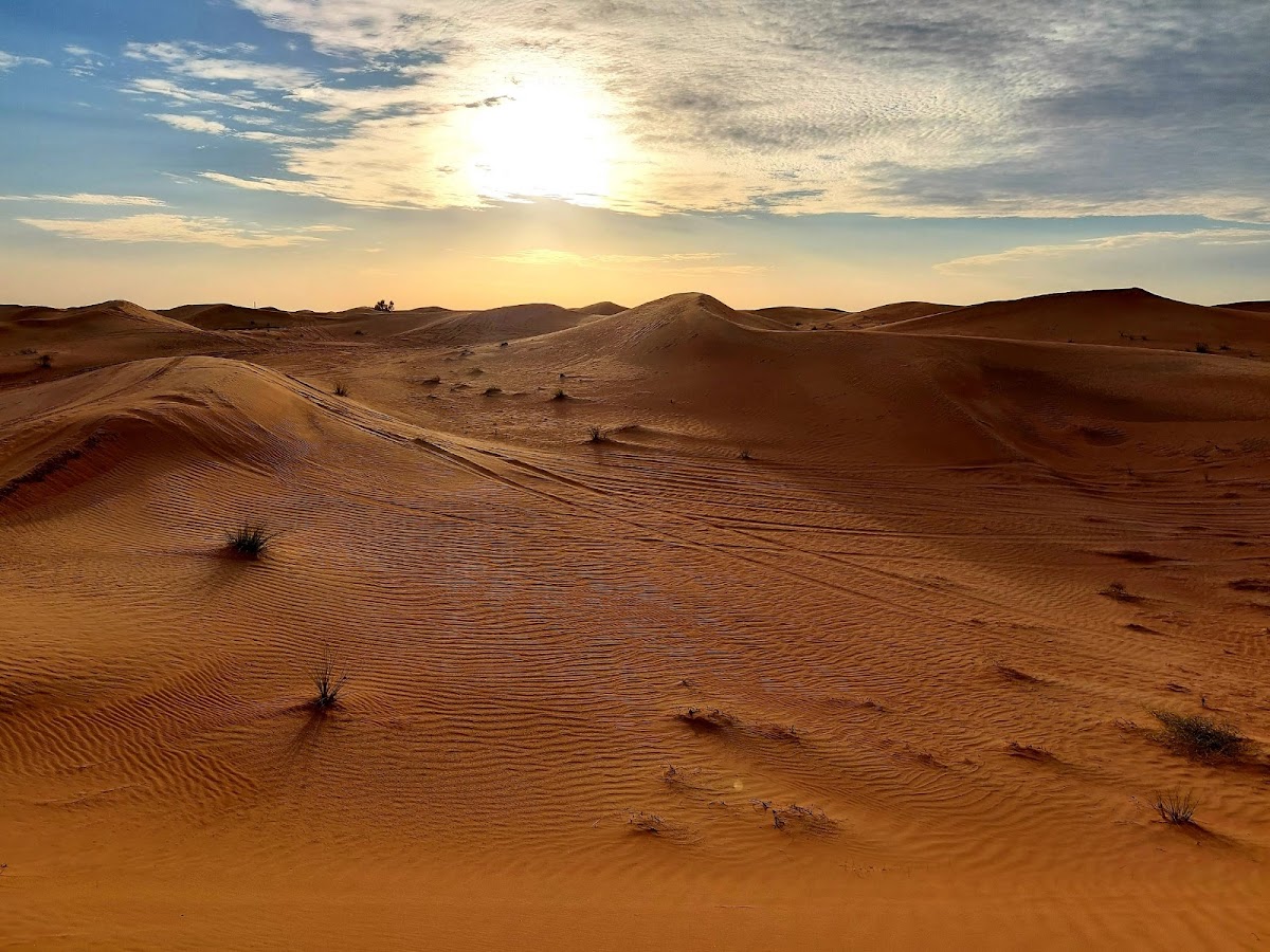 Desert Safari with BBQ Dinner - photo 2
