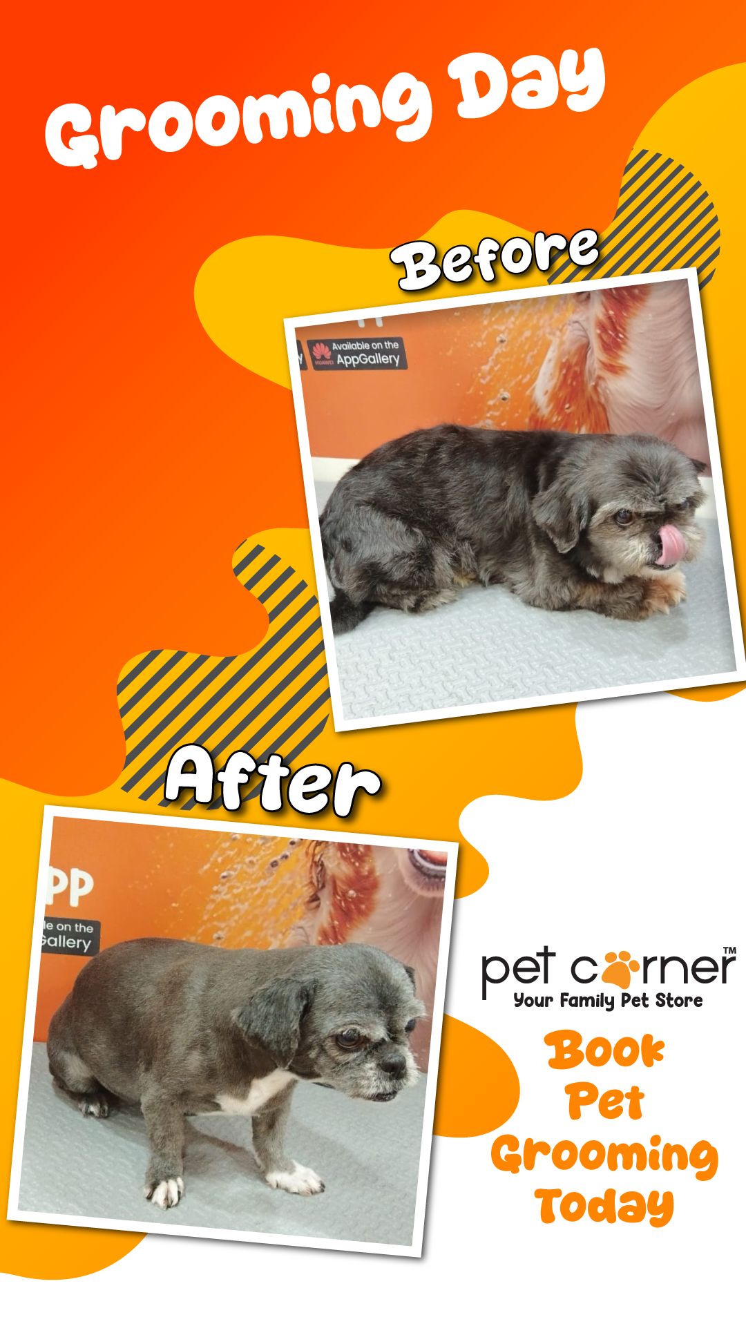 PetSmith Grooming - photo 5