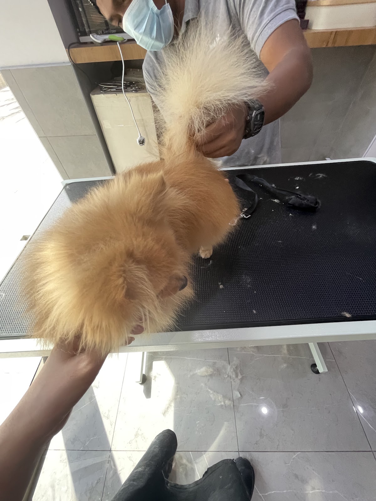 Fur Babies Pet Salon - photo 4