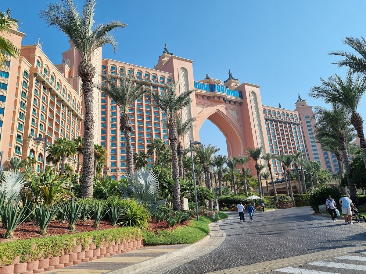 Surf House Dubai - Wavehouse - photo 4