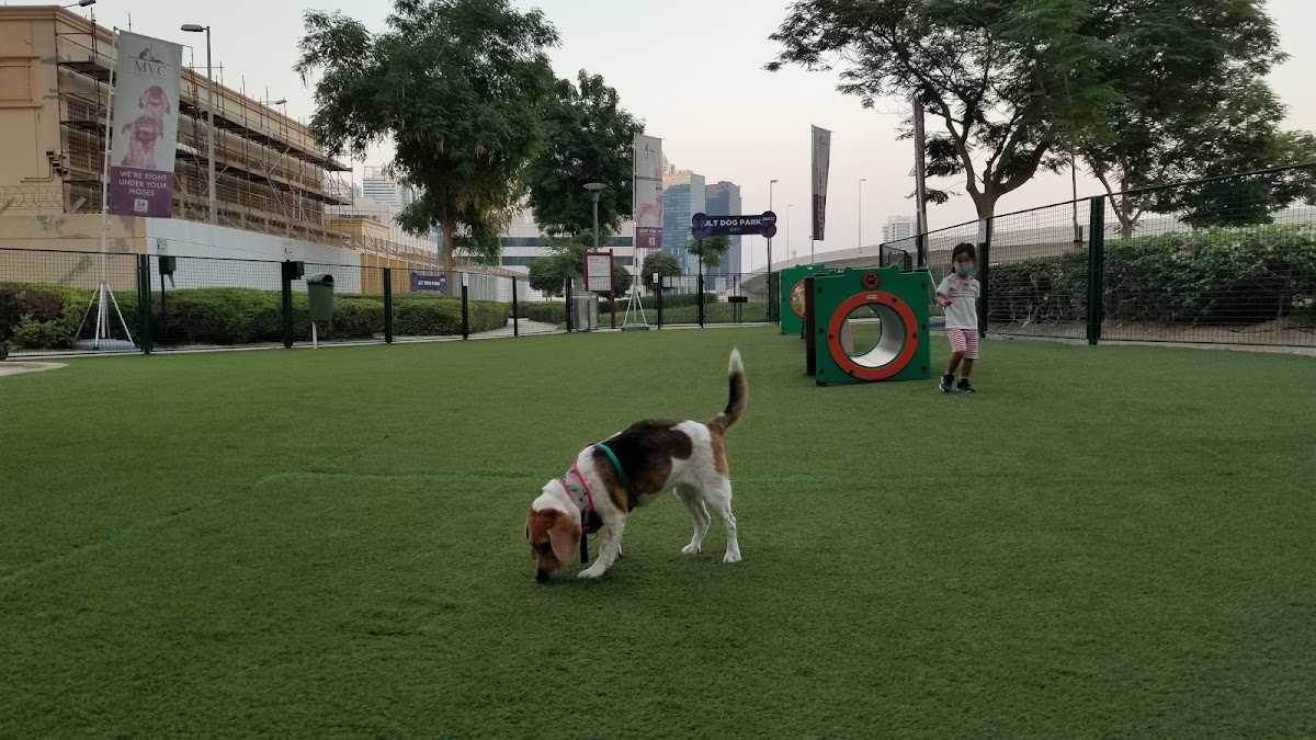 Jumeirah Dog Park - photo 5