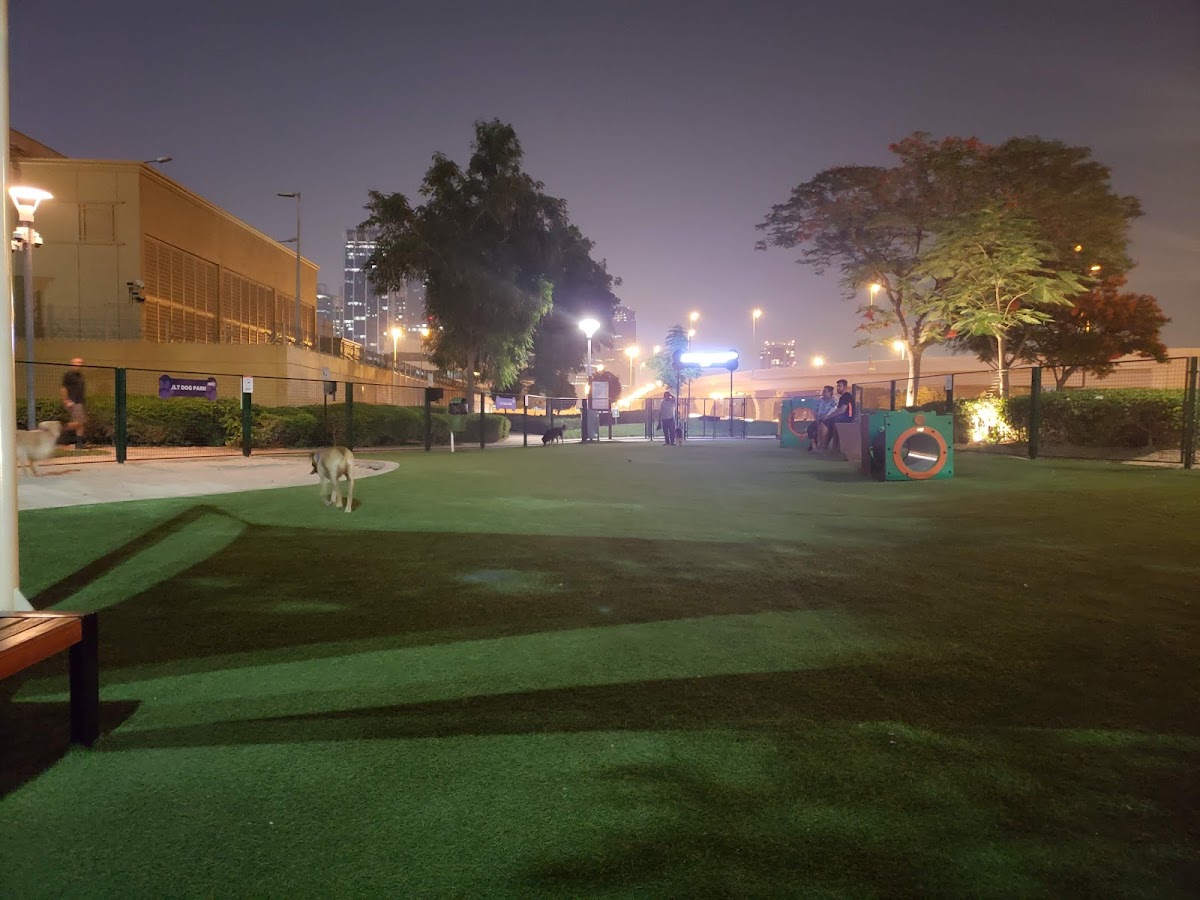 Jumeirah Dog Park - photo 2