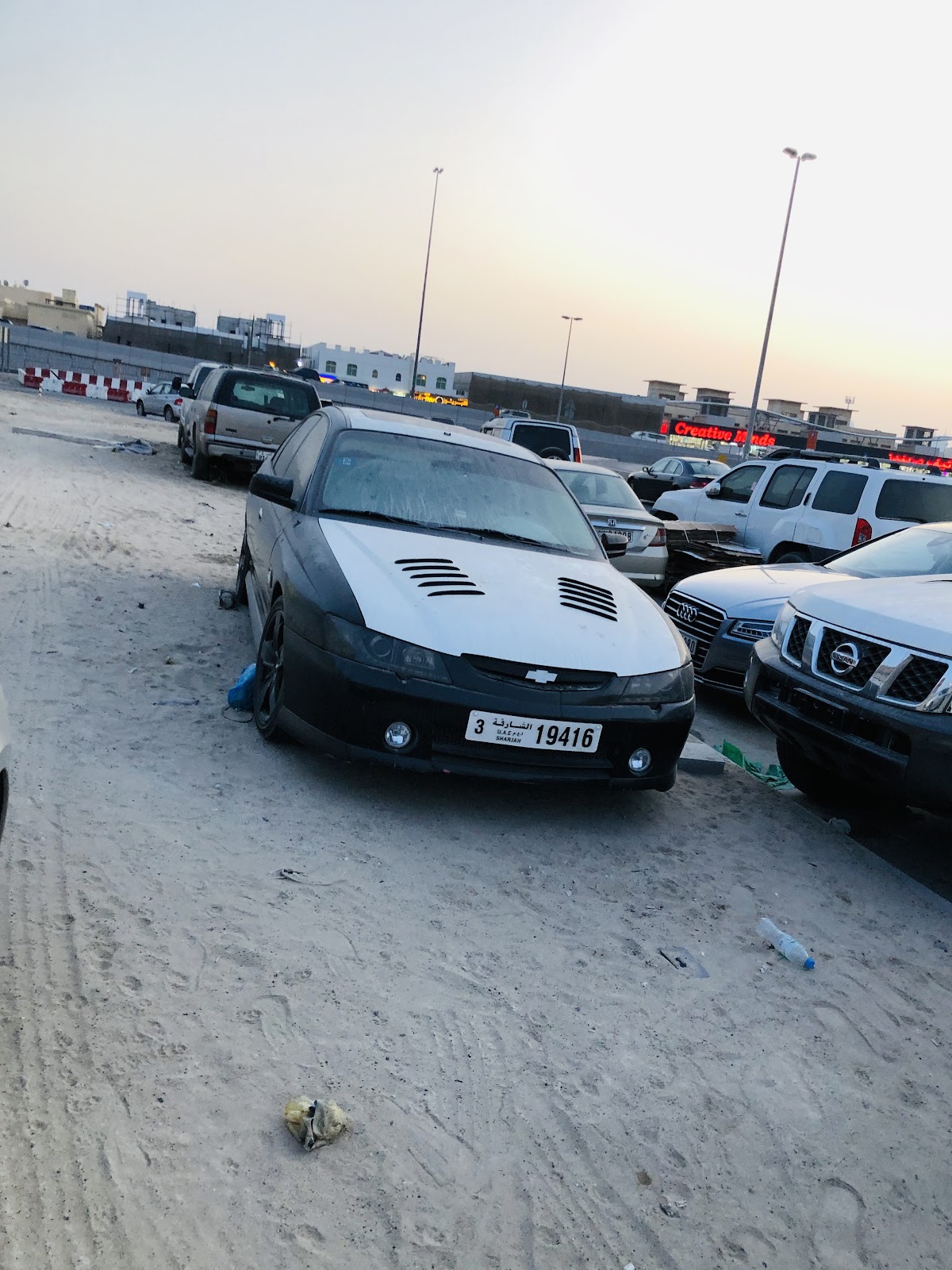 Dubai Animal Shelter - Adoption Centre