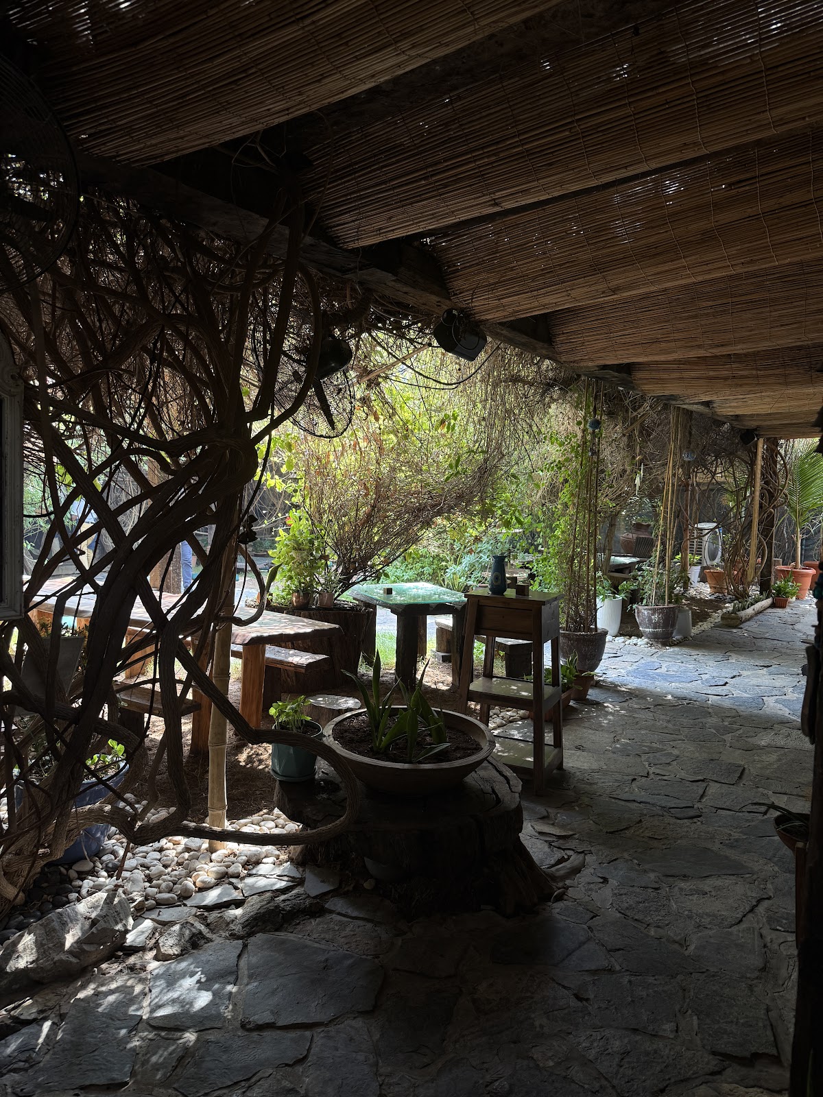 Seva Table - Saturday Wellness Brunch - photo 4