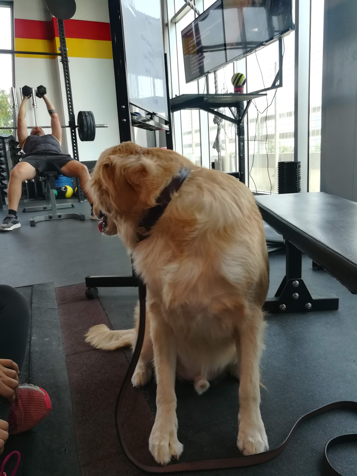 CrossFit Reebok - photo 5