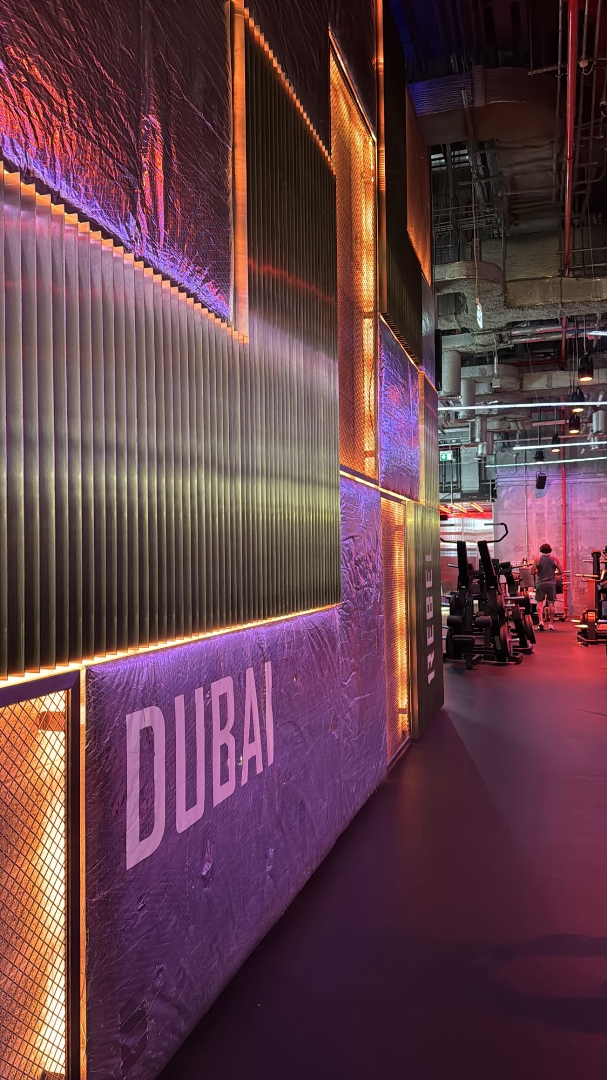 1Rebel Dubai - photo 4