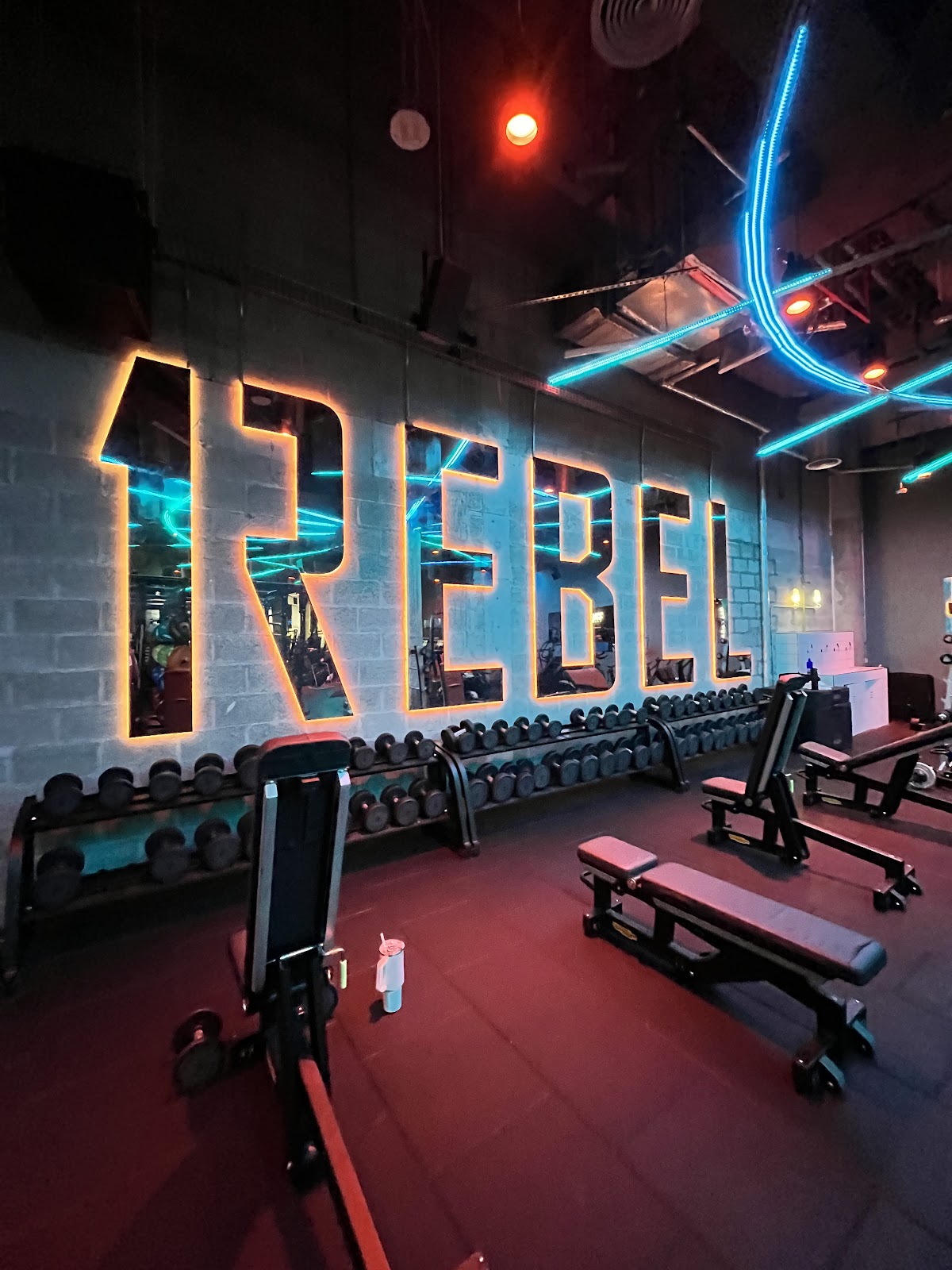 1Rebel Dubai - photo 3