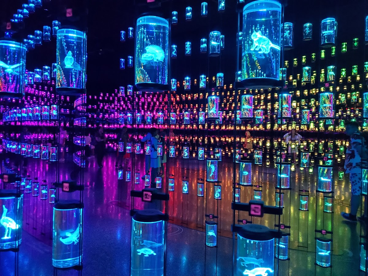 Museum of the Future, Exterior & Plaza - photo 3