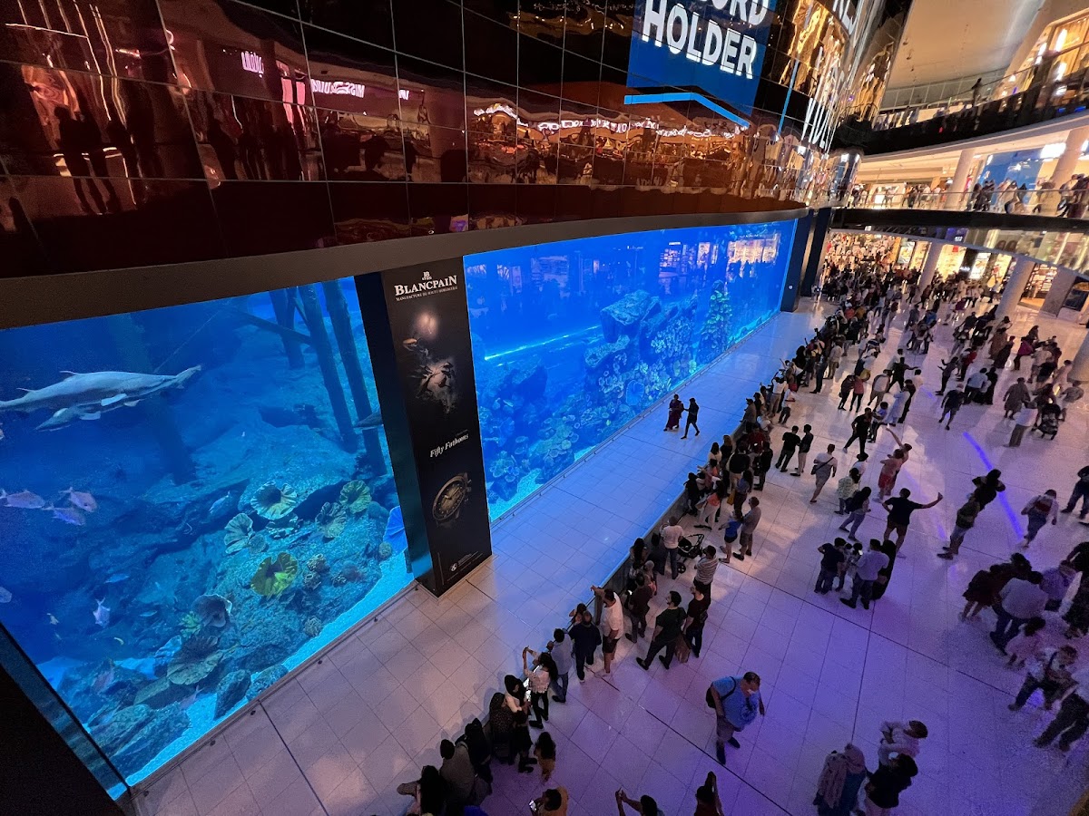 The Dubai Mall - photo 5