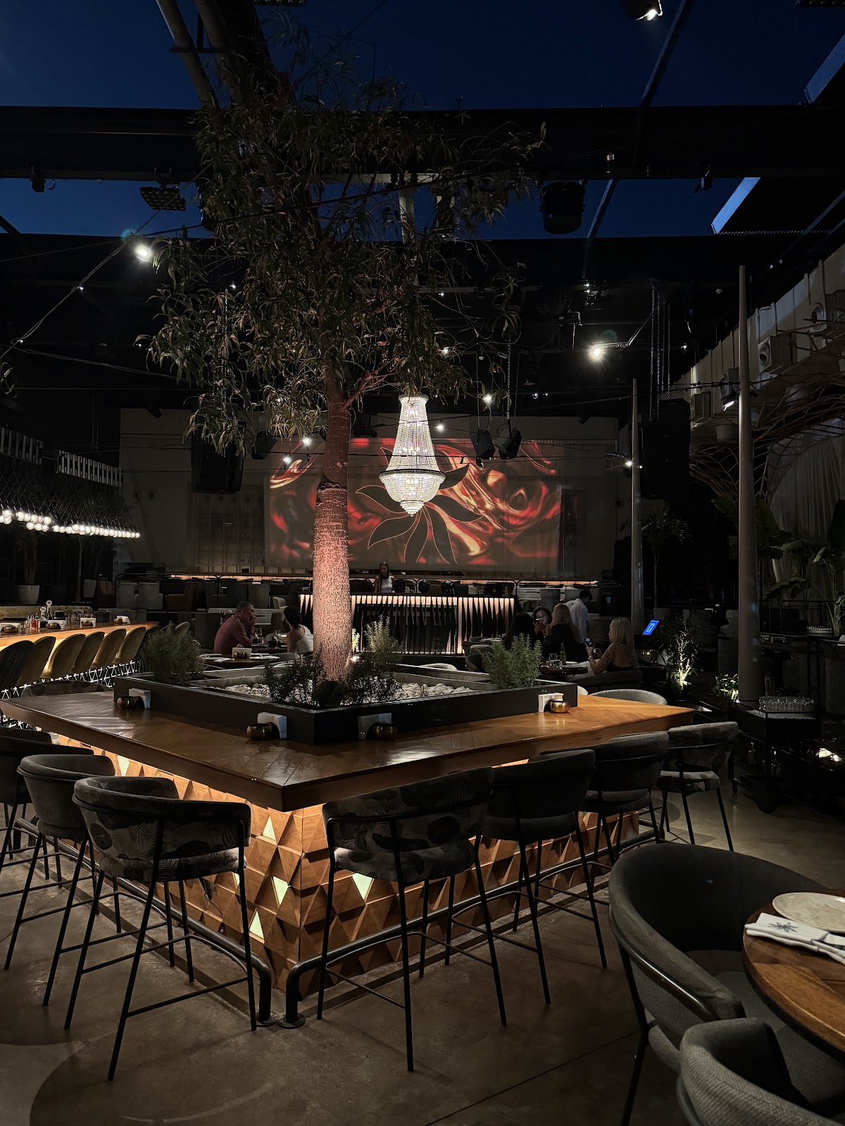 Iris Dubai - Pool Brunch - photo 3