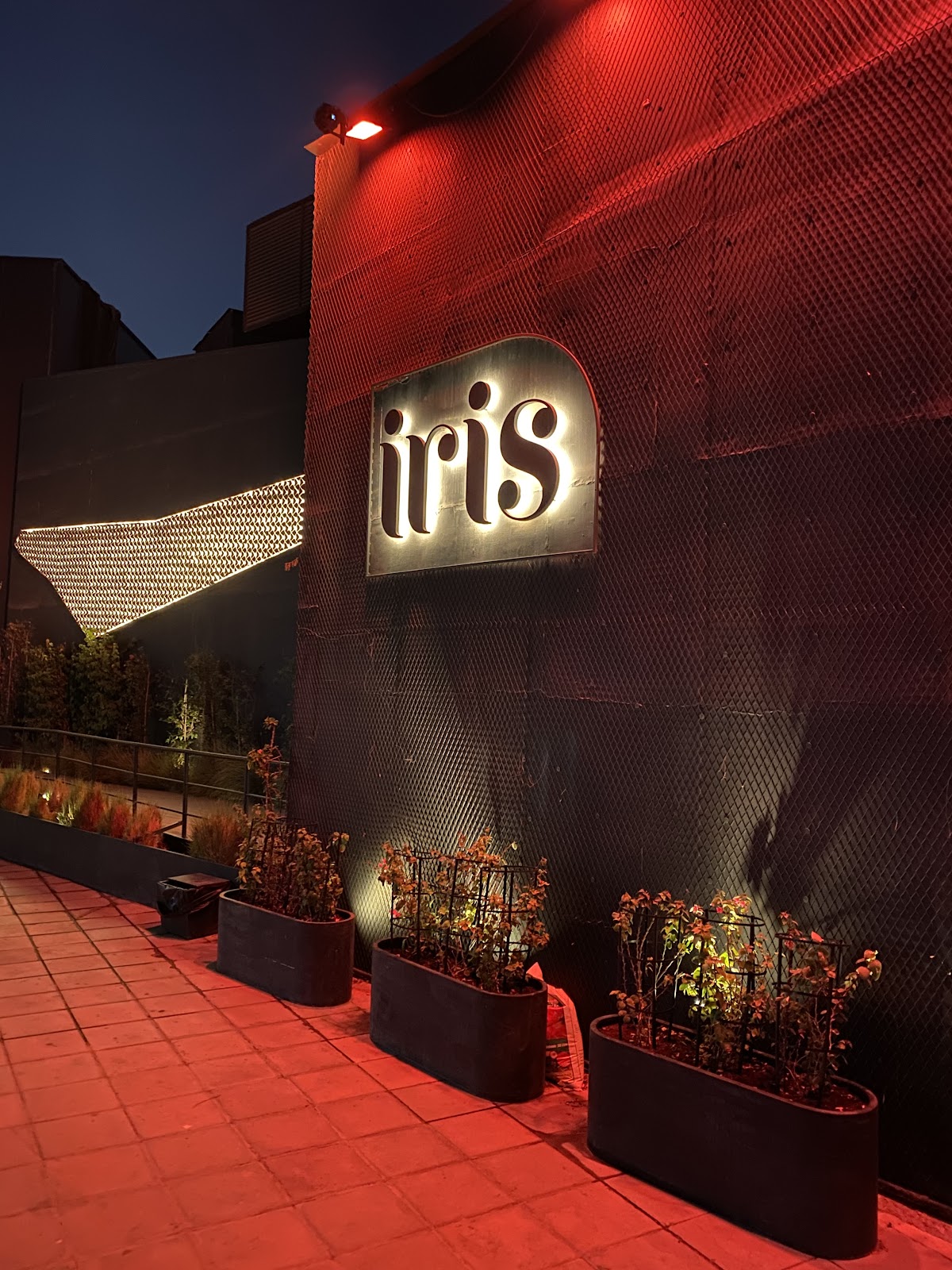 Iris Dubai - Pool Brunch - photo 5