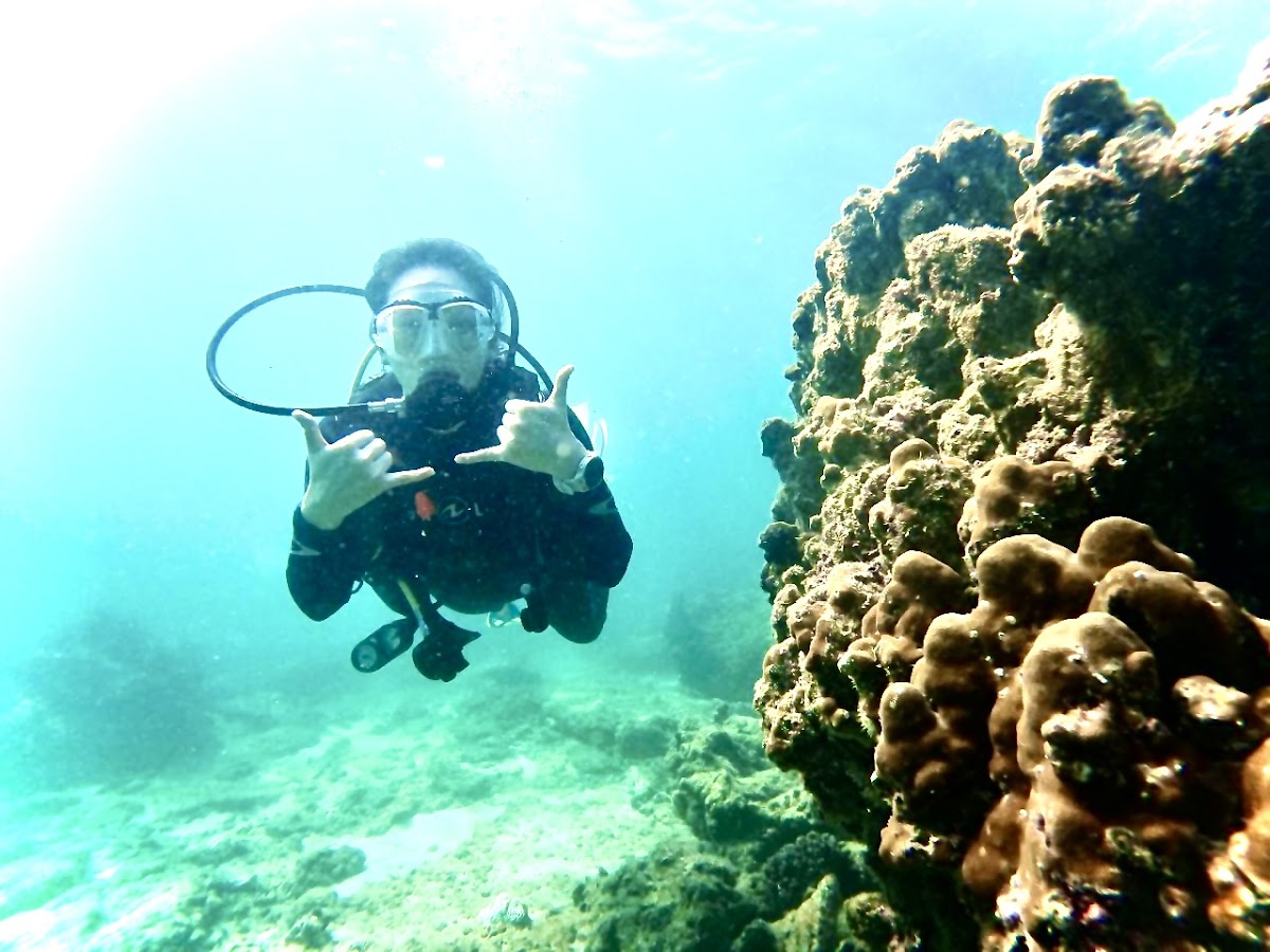 Scuba Dubai - Diving School - photo 2