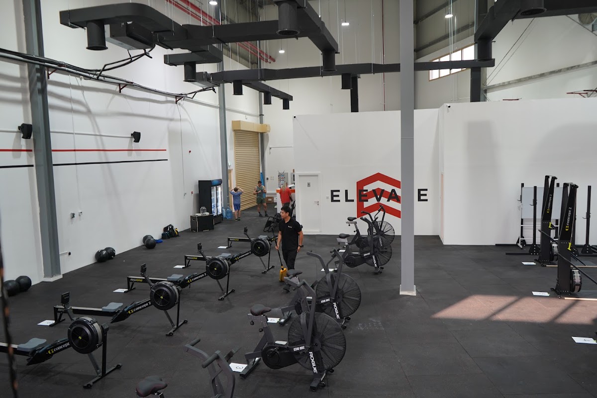 Elevate CrossFit DIP - photo 3