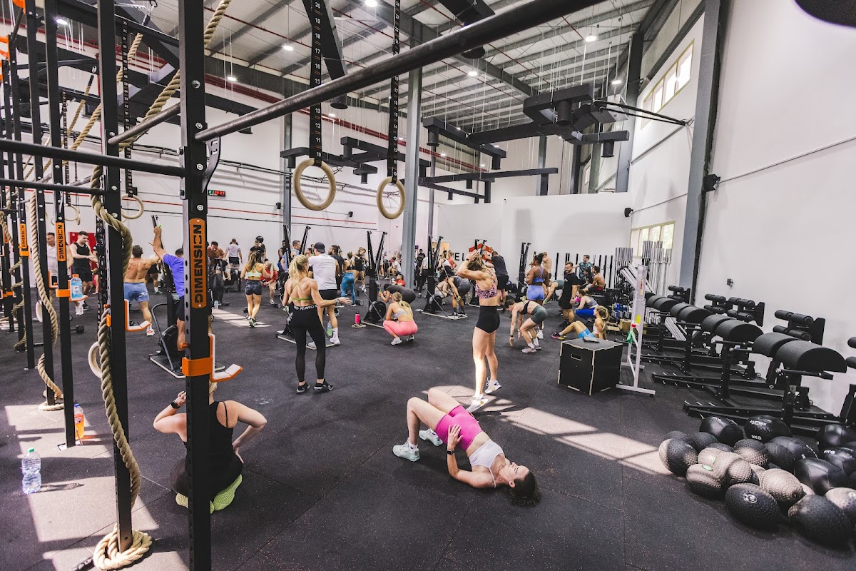 Elevate CrossFit DIP - photo 4