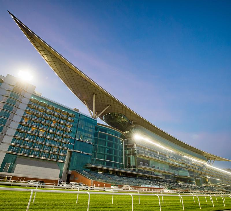 White Dubai - photo 3