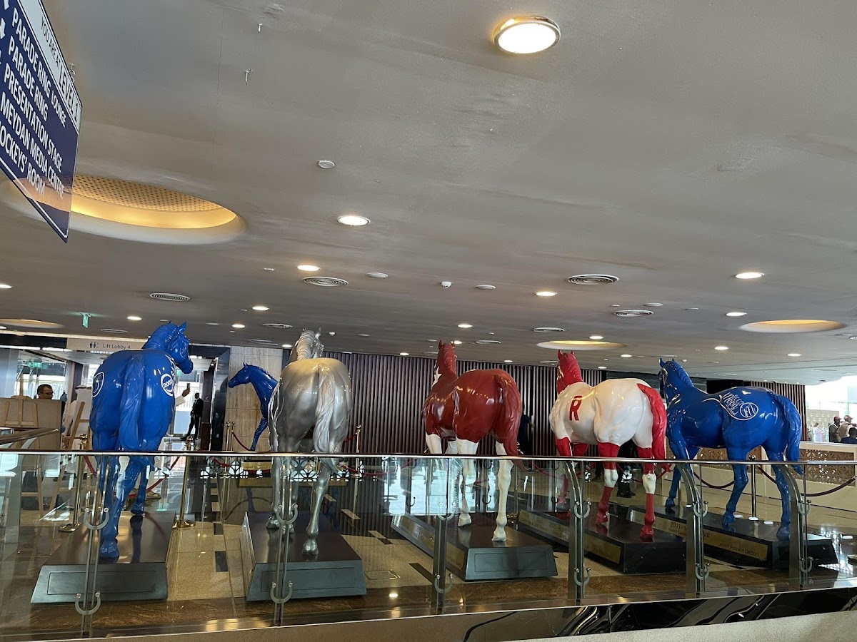 White Dubai - photo 5