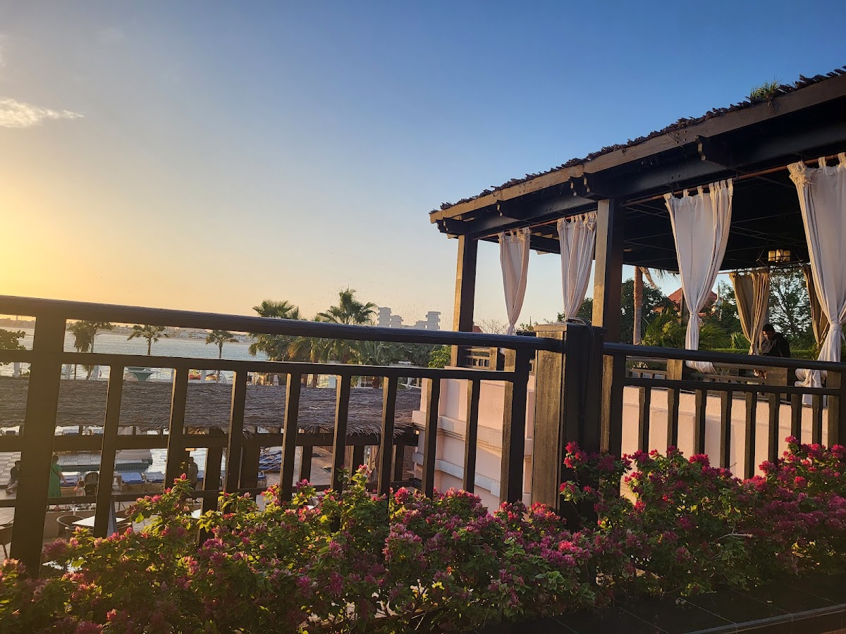 Bliss Lounge - photo 4