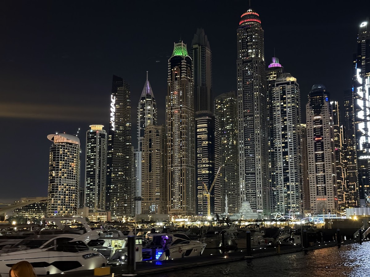 Skydive Dubai - photo 3