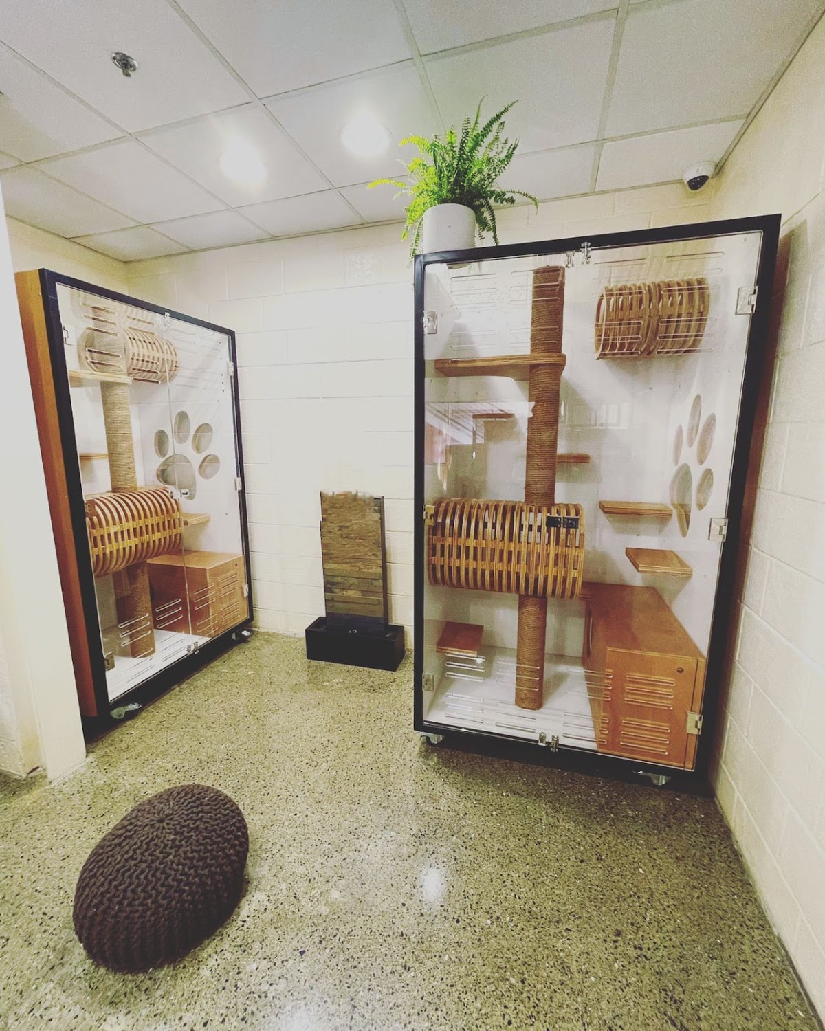 PawSome Vet Clinic - photo 2