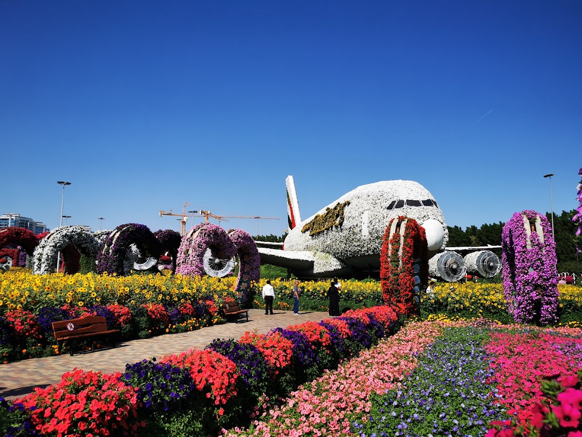 Miracle Garden (Winter Season) - photo 4