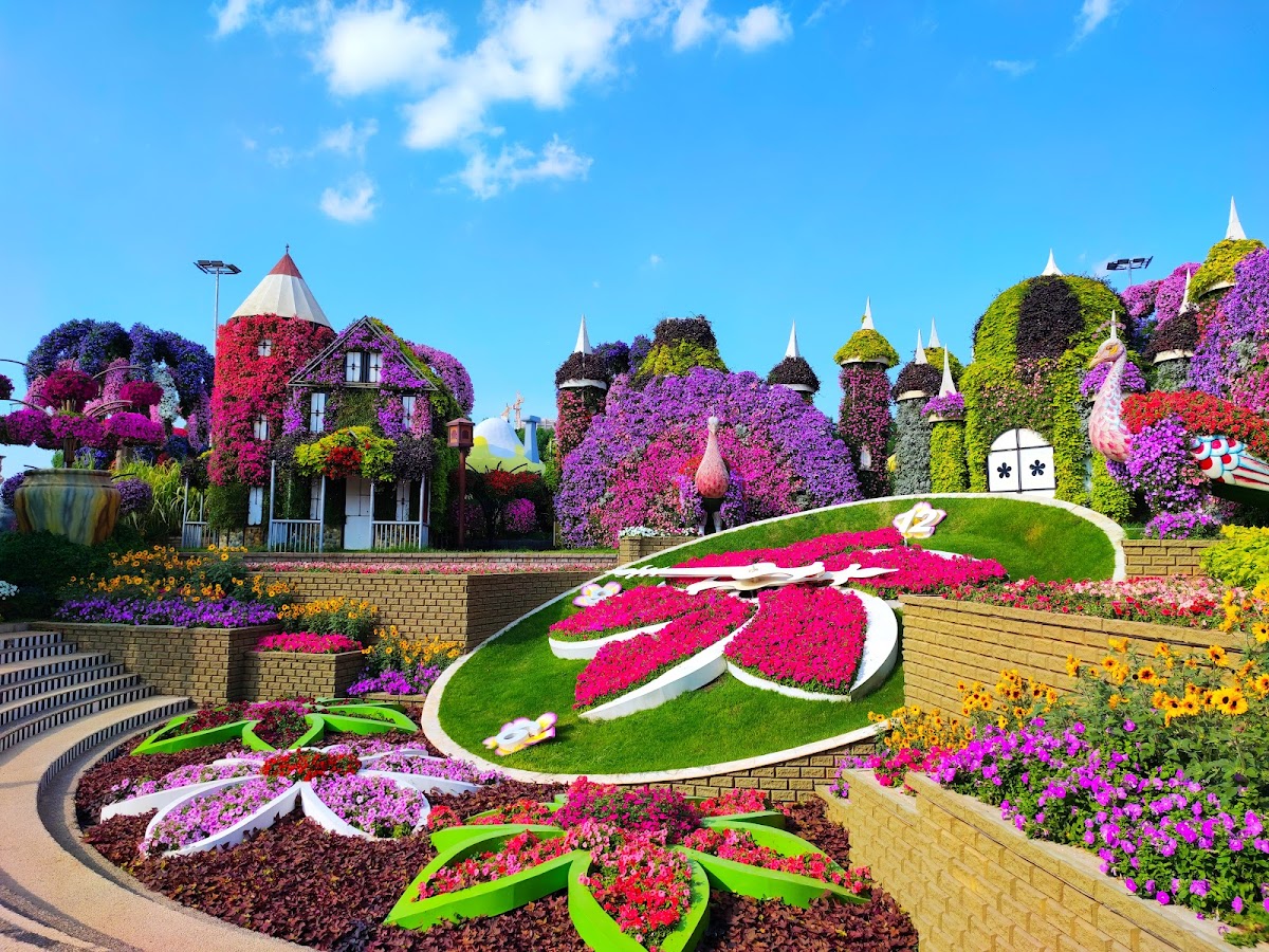 Miracle Garden (Winter Season) - photo 2