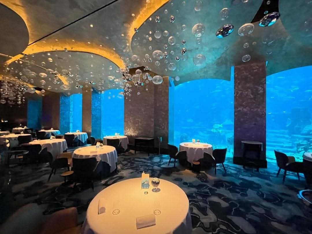 Ossiano - Underwater Brunch - photo 4