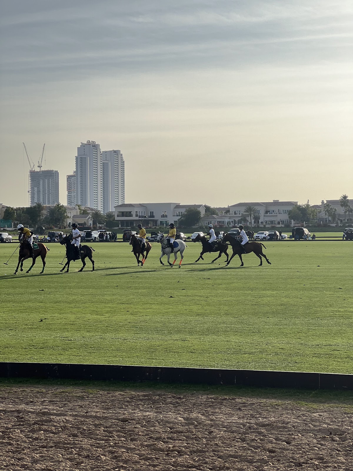 Dubai Polo & Equestrian Club - photo 4