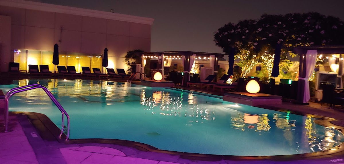 Double Decker - photo 3